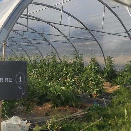Eco-Gite A La Ferme D'Elles Saint-Andre-de-l'Epine Dış mekan fotoğraf